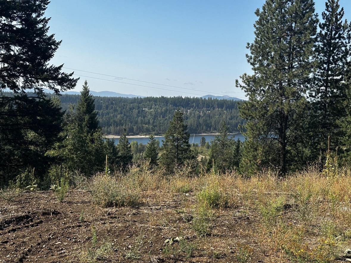 850 Diamond Heights Rd, Oldtown ID 83822 – Perfect Blend of Seclusion and Access!