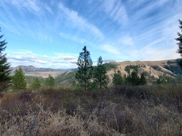 NKA Old Hughes Rd, Davenport WA 99122: View for DAYS!!!