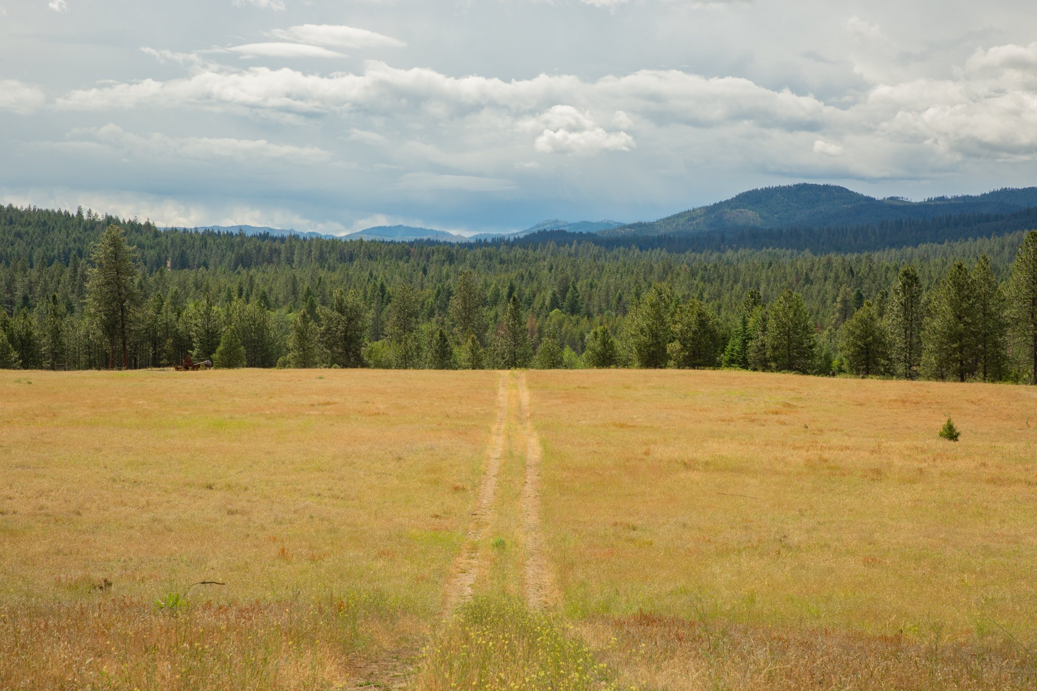 4110 Cemetery Rd, Tract B  Springdale WA 99137:  Beautiful, Peaceful Prairie Property!
